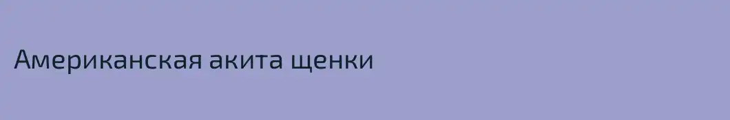 Американская акита щенки